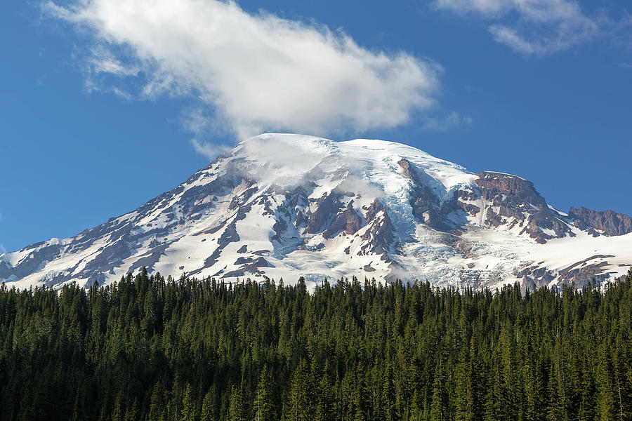 Summer Photograph - Mount Rainier Closeup by David Gn
