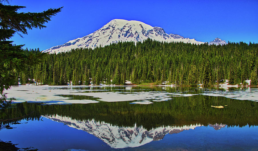 Mount Rainier from Reflection Lakes Photograph by David Thompson - Fine ...