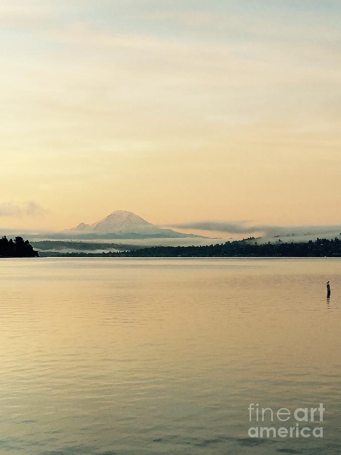 Seattle Photograph - Mount Rainier in the morning by LeLa Becker