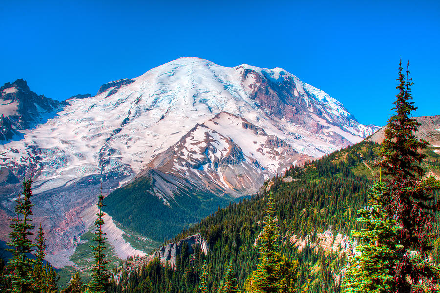 Mount Rainier IV Photograph by David Patterson
