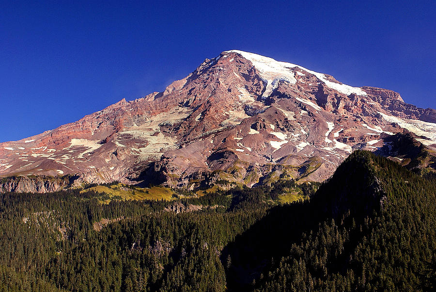 Mount Rainier  Photograph by Marty Koch