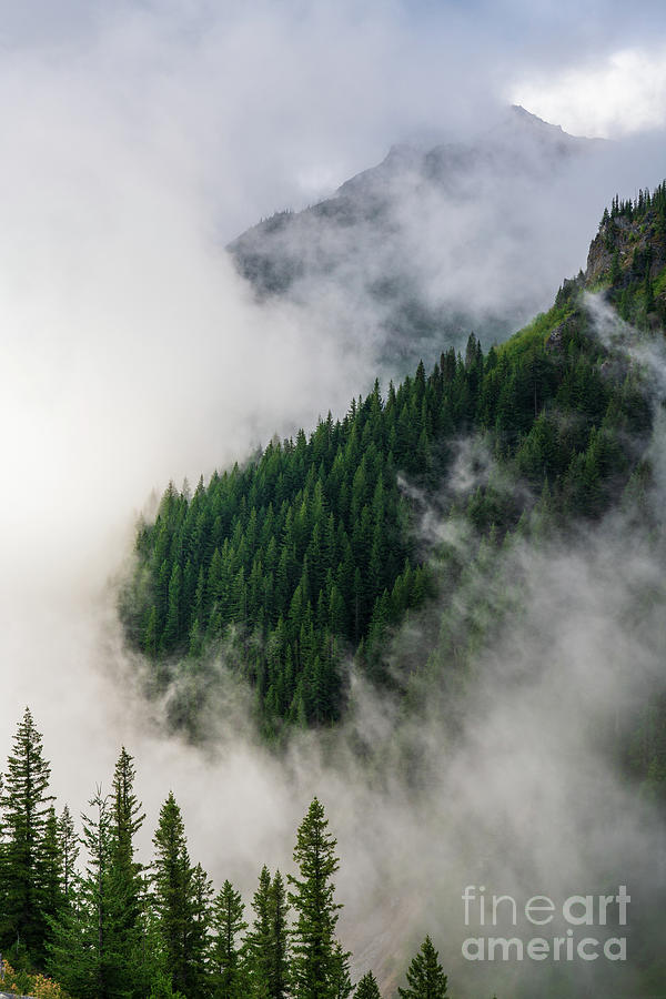 Rainier Photograph - Mount Rainier National Park Clouds And Forest by Mike Reid Rainier Photograph - Mount Rainier National Park Clouds And Forest by Mike Reid