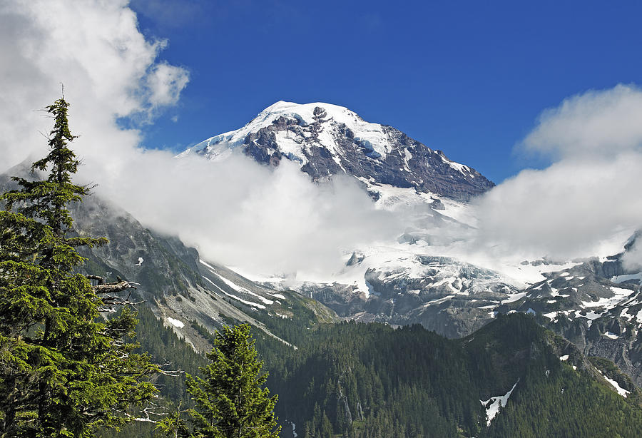 Nature Photograph - Mount Rainier National Park Washington by Brendan Reals