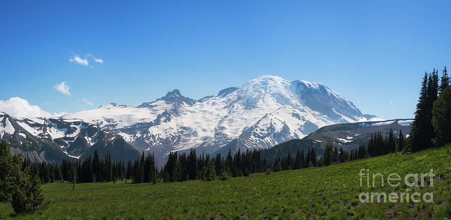 Mount Rainier Panorama  Photograph by Michael Ver Sprill