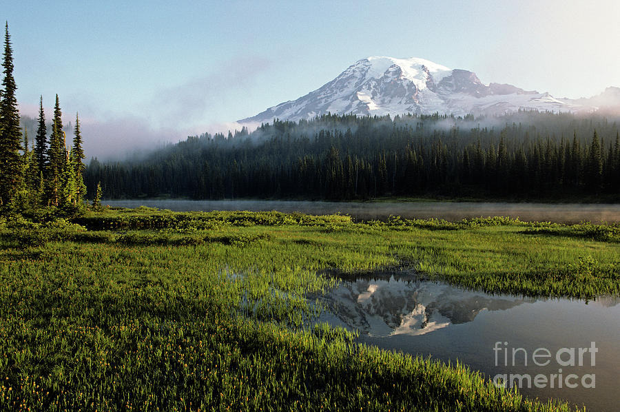 Tree Photograph - Mount Rainier Reflection Lake by Jim Corwin