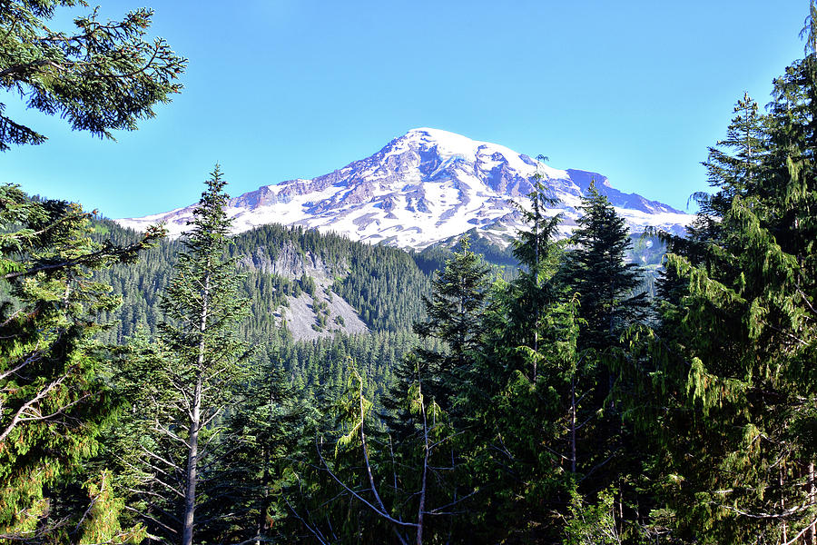 Mount Rainier Through Trees Photograph by Richard Hoffkins - Fine Art ...