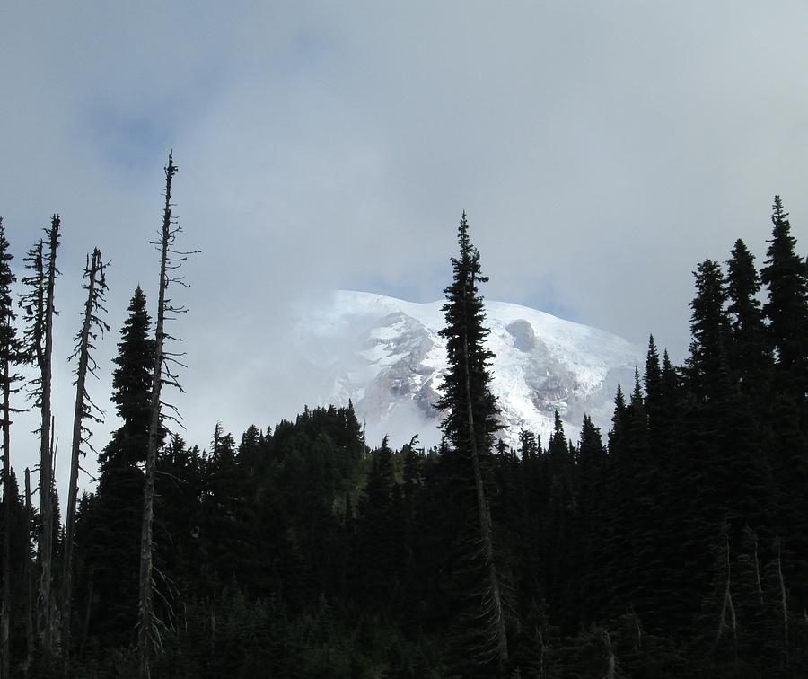 Mount Rainier Photograph by John Mathews