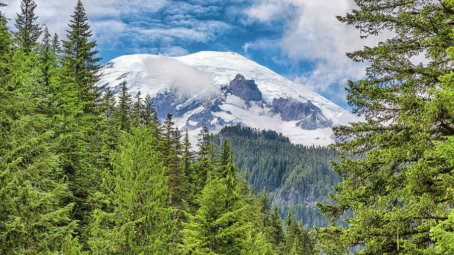 Mount Rainier View Photograph by Stephen Stookey