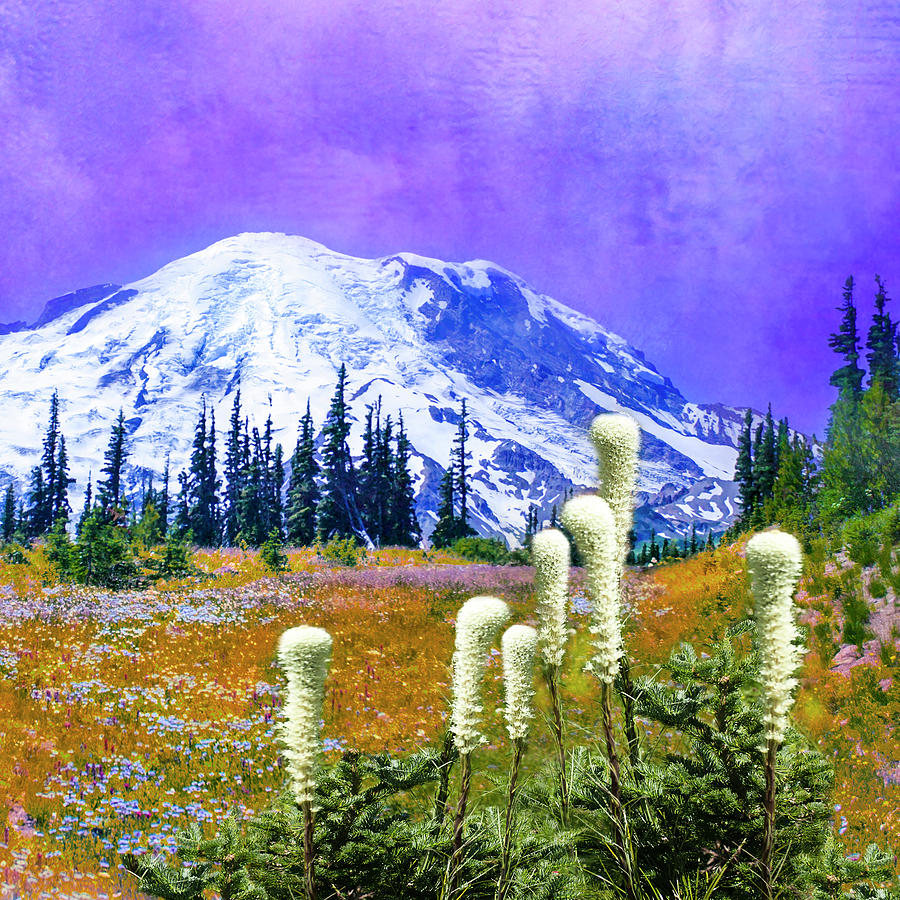 Mount Rainier, Washington Digital Art by Jeff Burgess