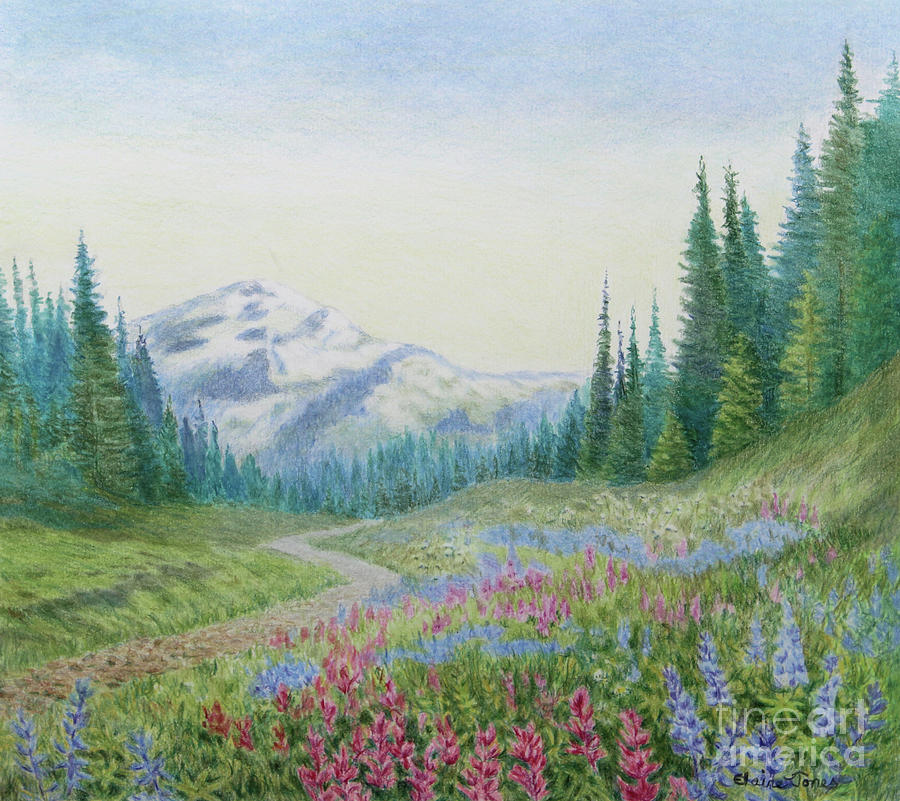 Mount Rainier Wildflowers Painting by Elaine Jones