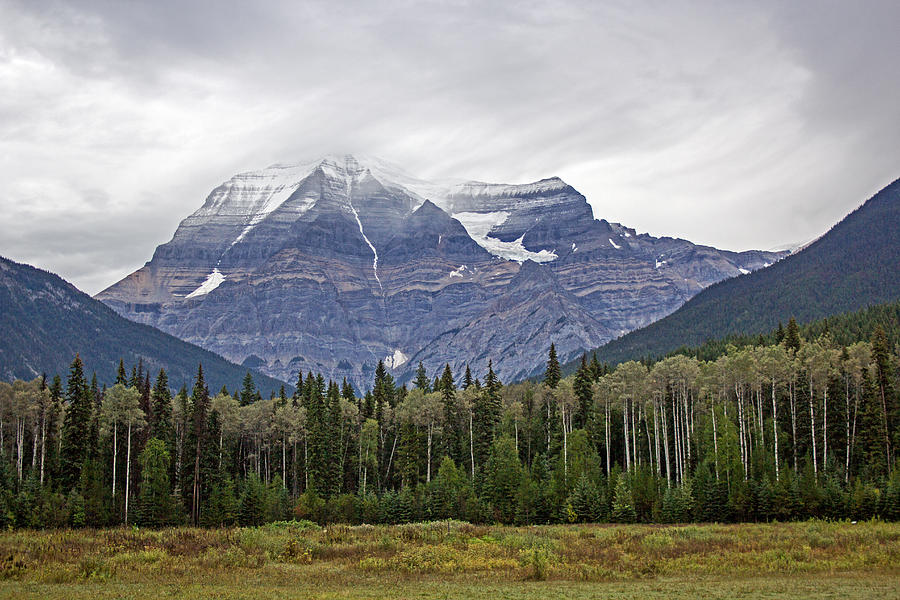 Mount Robson II Photograph by Angie Schutt