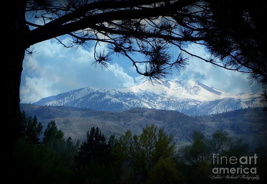 Mountain Photograph - Mount Rose Silhouette by Bobbee Rickard