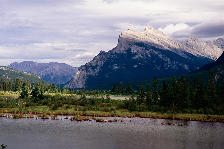 Banff National Park Photograph - Mount Rundle  by George Oze