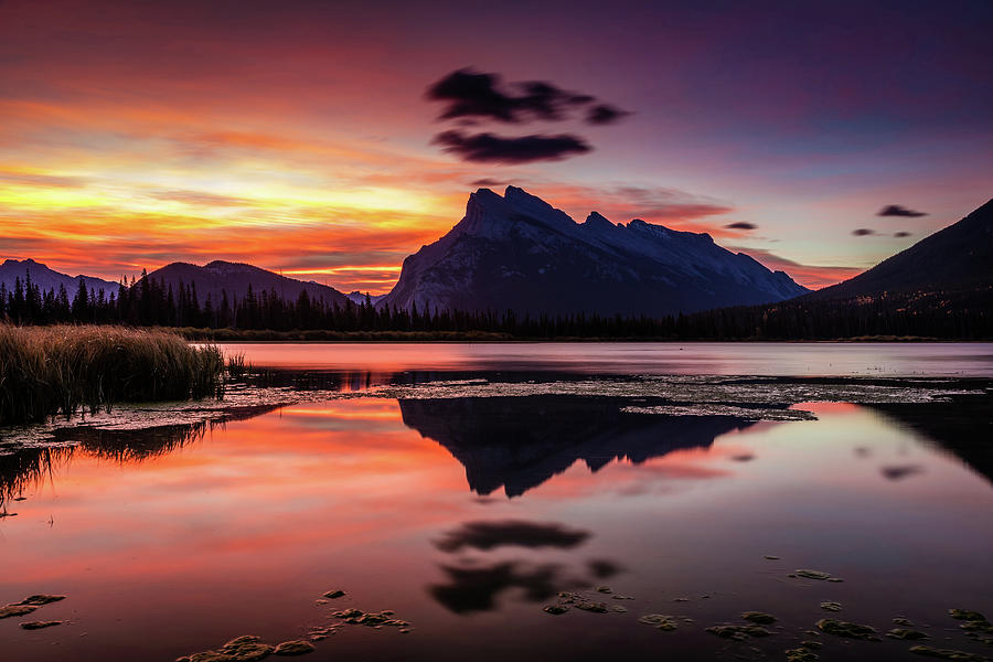 Mount Rundle Glorious Sunrise Photograph by Pierre Leclerc Photography