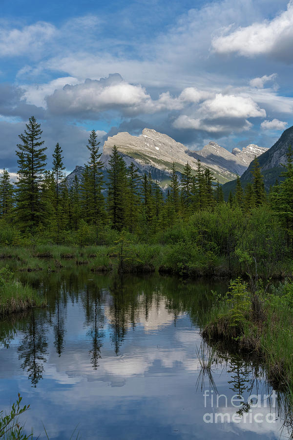 Mount Rundle Photograph - Mount Rundle Reflection by Mike Reid