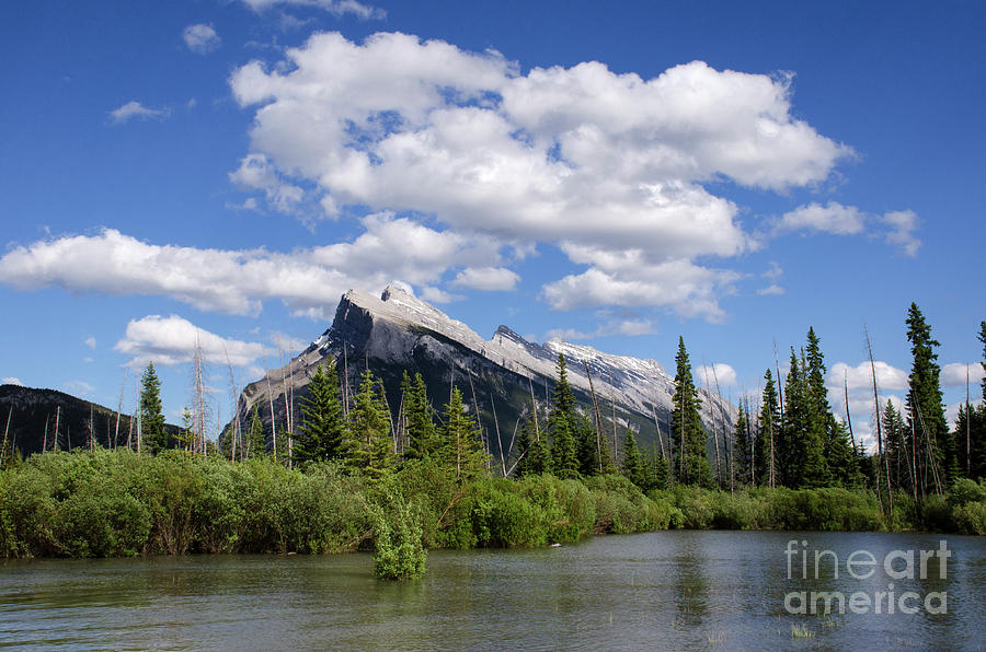Mount Rundle Vermillion Lakes Banff Canada 1 Photograph by Bob Christopher