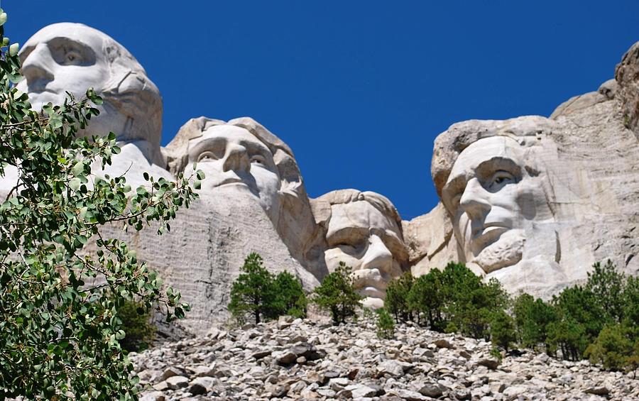 Tree Photograph - Mount Rushmore Close Up View by Matt Quest