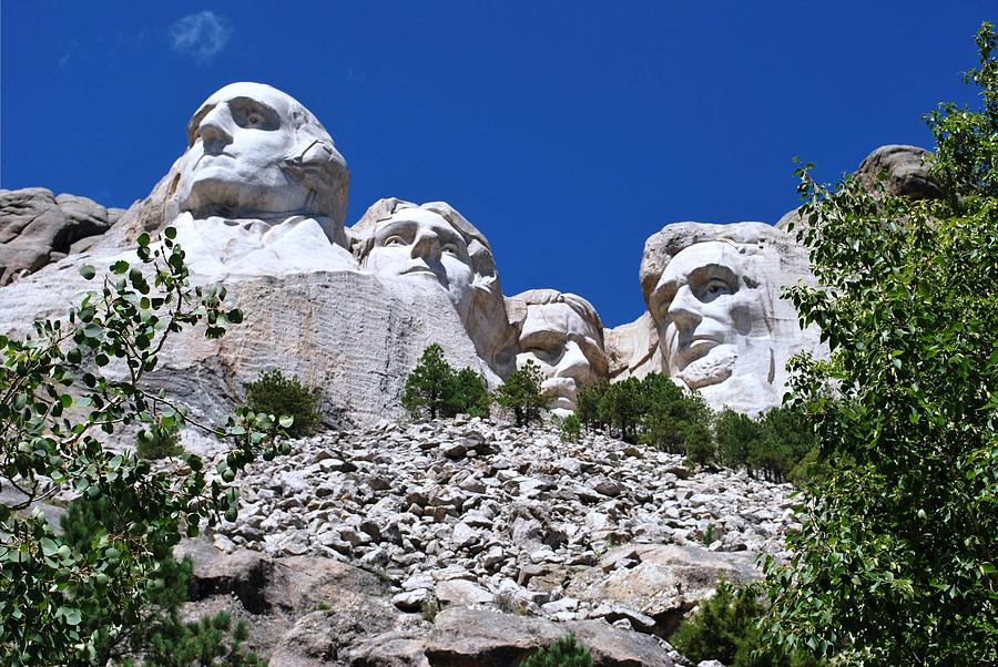 Tree Photograph - Mount Rushmore Rocky View  by Matt Quest