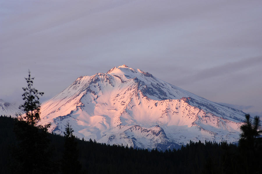 Mount Shasta - Oregon Photograph by DArcy Evans