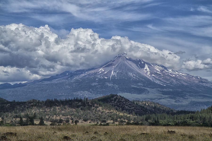 Mount Shasta 9950 Photograph