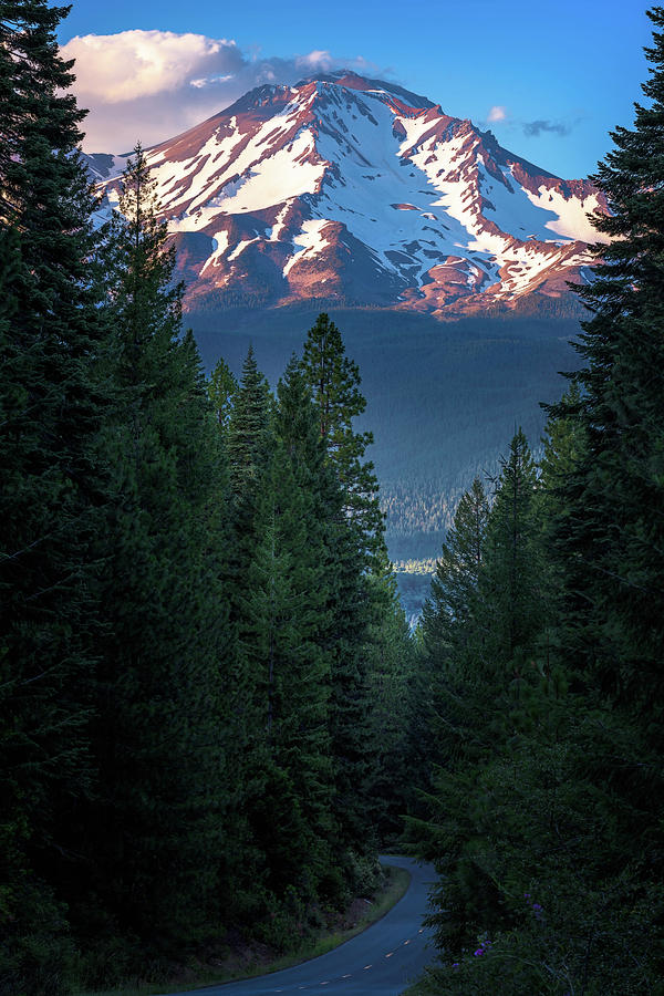 Mount Shasta - a Roadside View Photograph by John Hight