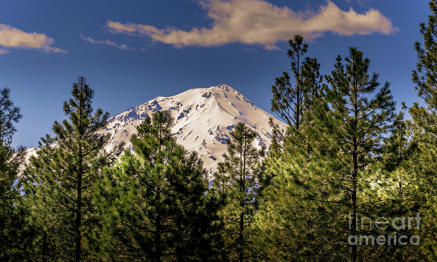 Mount Shasta Photograph by Blake Webster