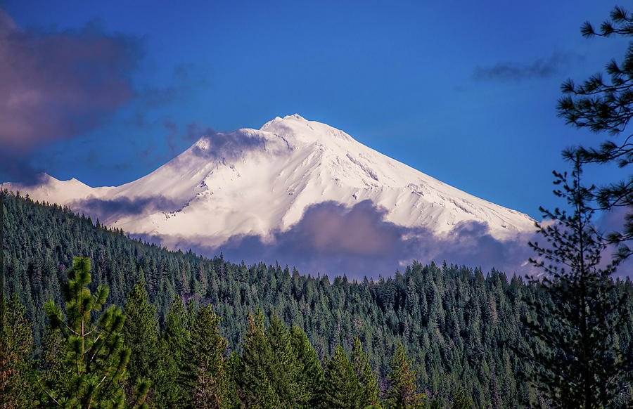 Landscape Photograph - Mount Shasta Blues by Lynn Bauer