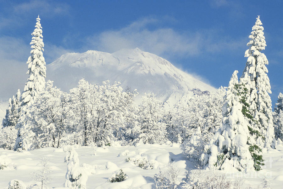 Winter Photograph - Mount Shasta by Ellen and Richard Thane