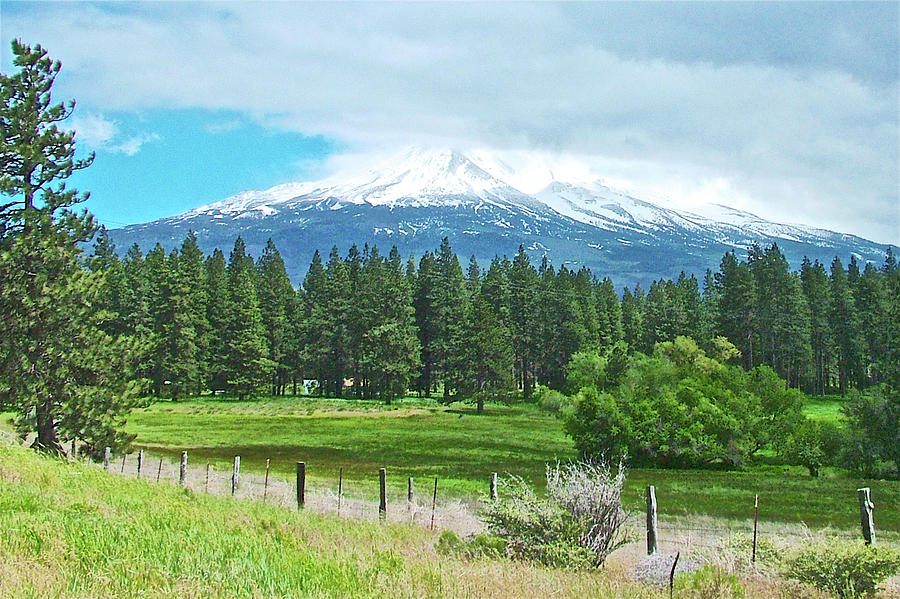 Mount Shasta in Northern California Photograph by Ruth Hager