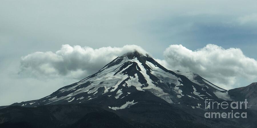 Mount Shasta Photograph by Patricia Strand