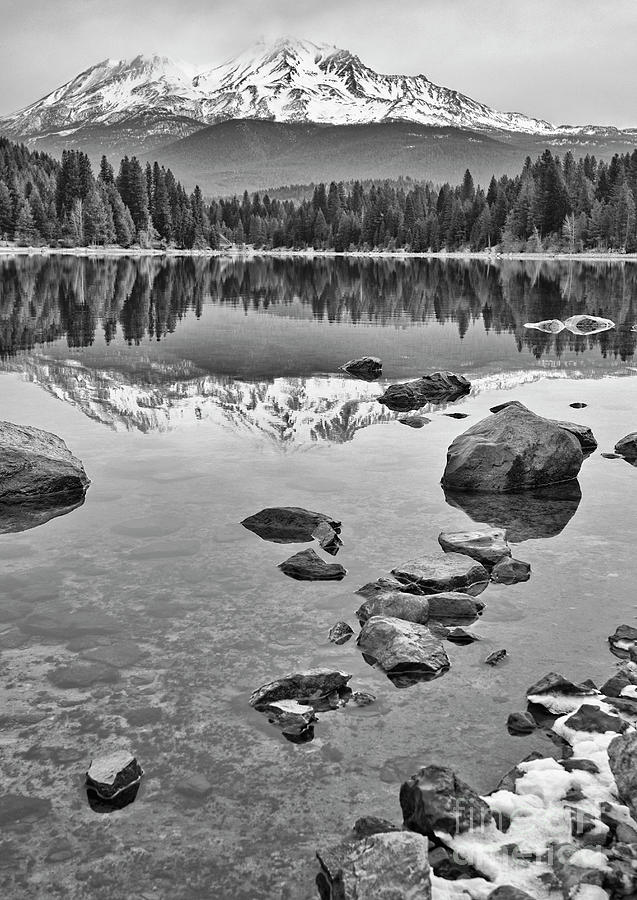 Winter Photograph - Mount Shasta Reflection by Jamie Pham