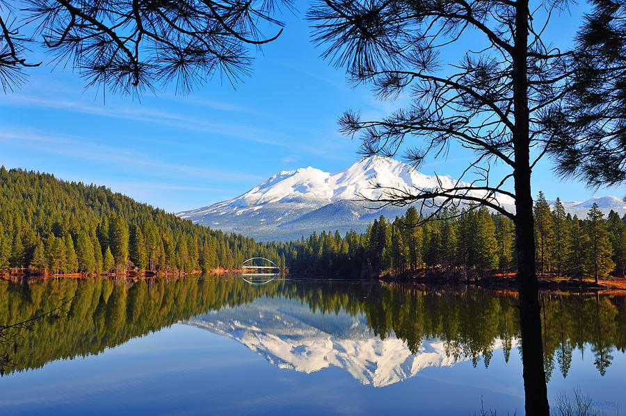Mount Shasta Reflections On The Lake Photograph