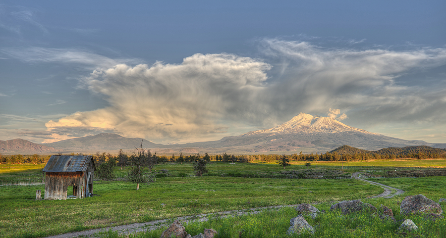 Mount Shasta Remembers Photograph by Loree Johnson