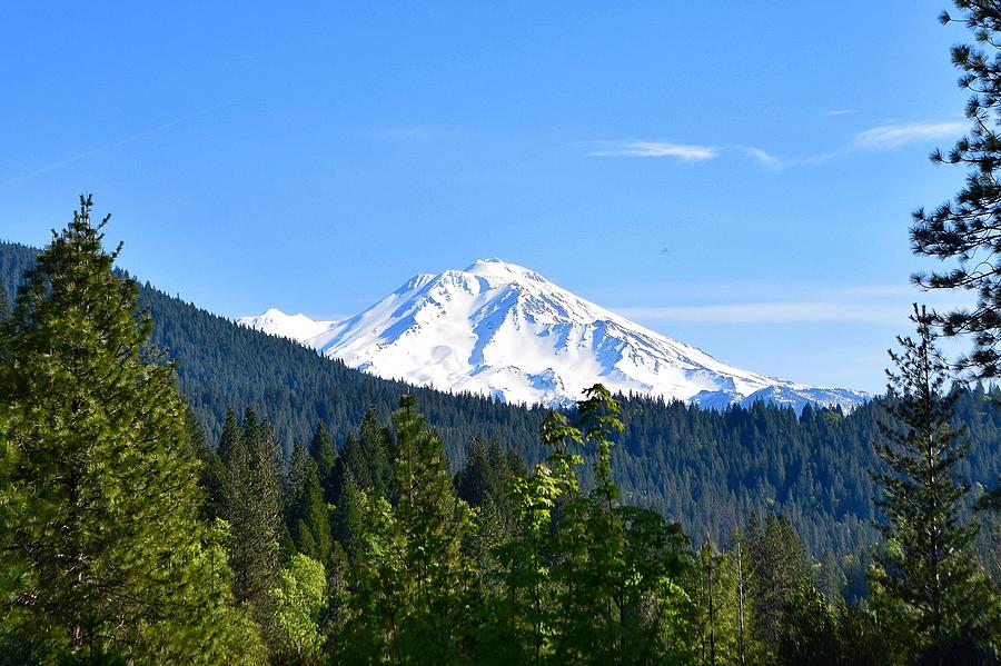 Mount Shasta Photograph by Maria Jansson
