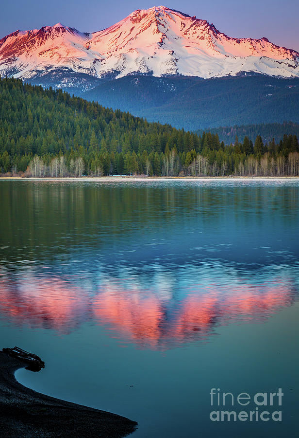 Mount Shasta Sunset Photograph by Inge Johnsson