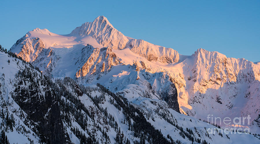 Mount Shuksan Alpenglow Photograph by Mike Reid