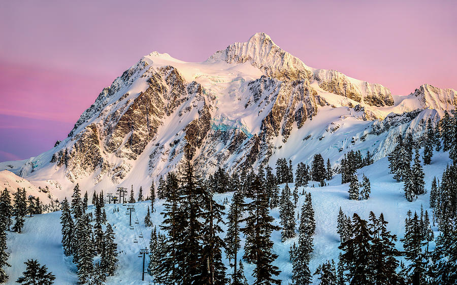 Tree Photograph - Mount Shuksan at Sunset by Alexis Birkill
