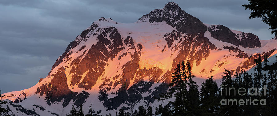 Mount Shuksan Brilliant Alpenglow Photograph by Mike Reid