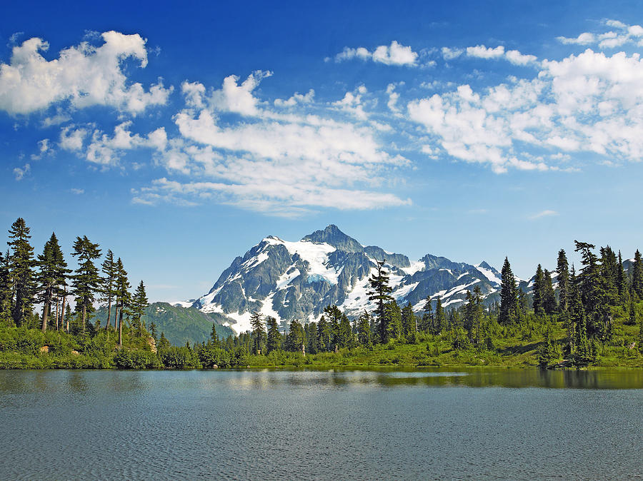 Tree Photograph - Mount Shuksan from Picture Lake in Mt. Baker Snoqualmie National Forest by Brendan Reals