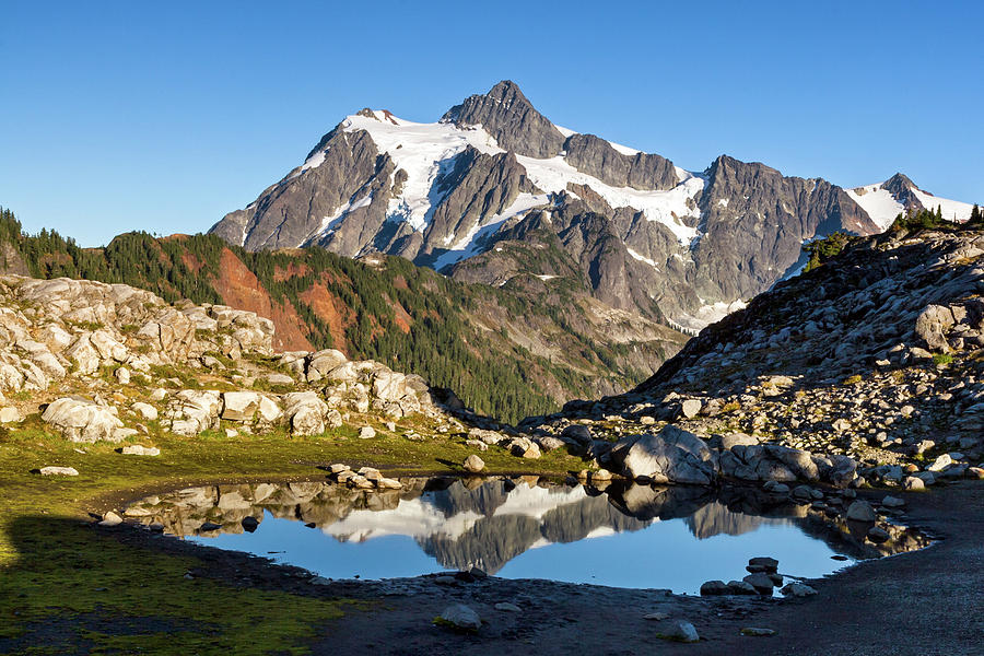 Mount Shuksan reflected in tarn near Artist Point Photograph by Michael Russell