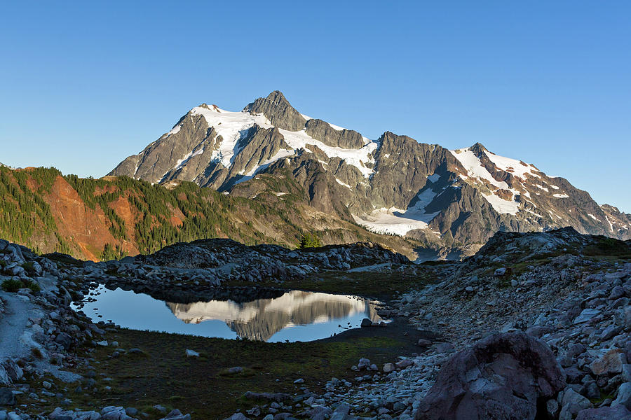 Mount Shuksan reflected in tarn on Kulshan Ridge Photograph by Michael Russell