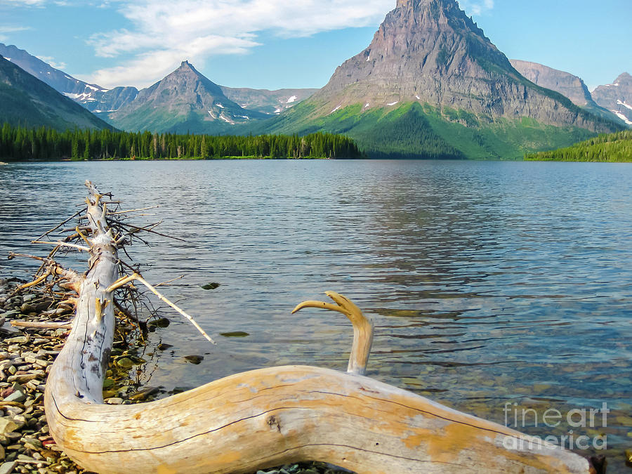 Mount Sinopah in Glacier National Park Photograph by Benny Marty