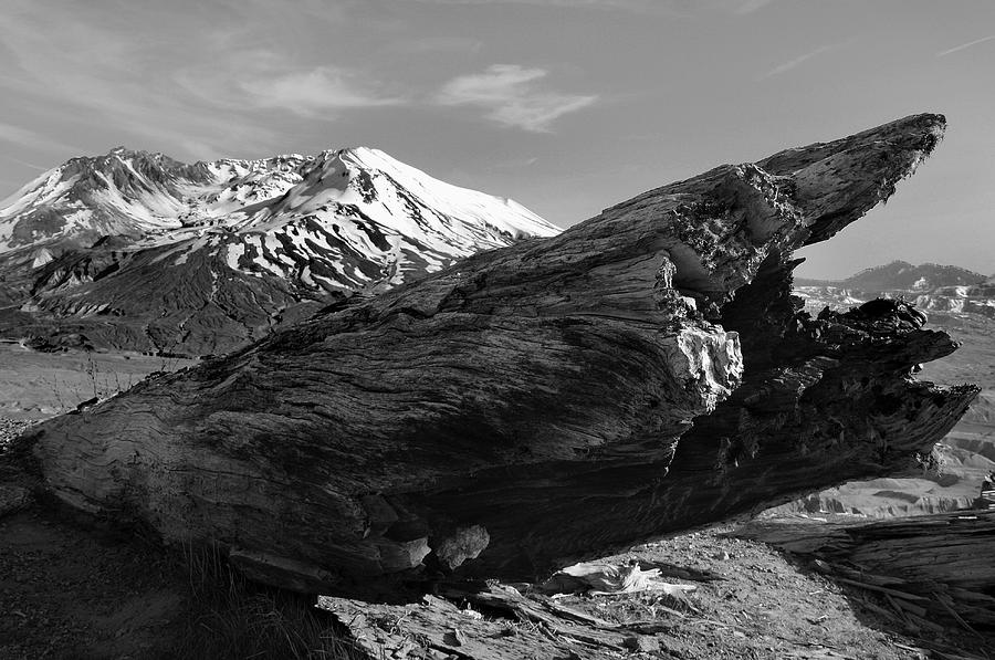 Mount St Helen Photograph by Joanne Coyle