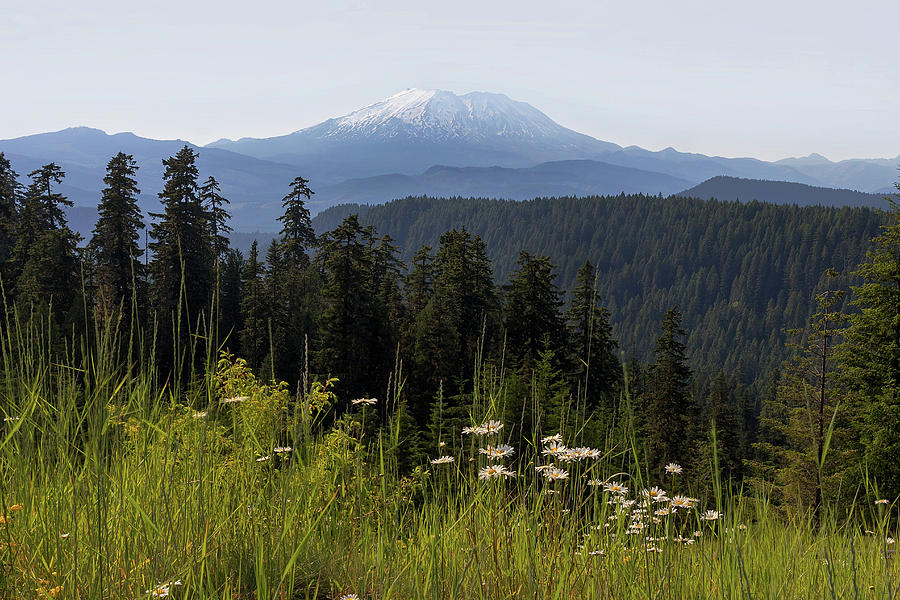 Mount Saint Helens Photograph - Mount St Helens in Washington State by David Gn Mount Saint Helens Photograph - Mount St Helens in Washington State by David Gn