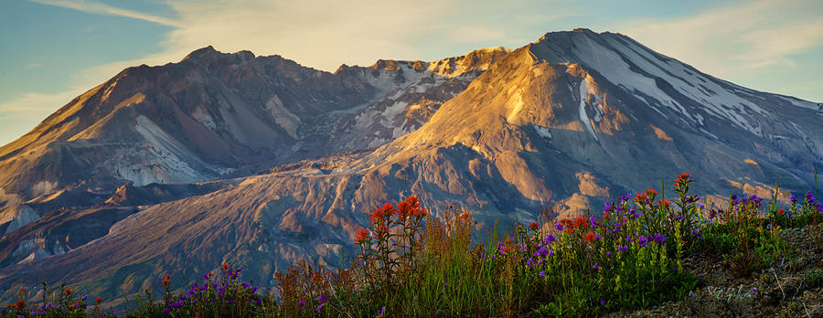 Mount St Helens Spring Bounty Photograph by Mike Reid