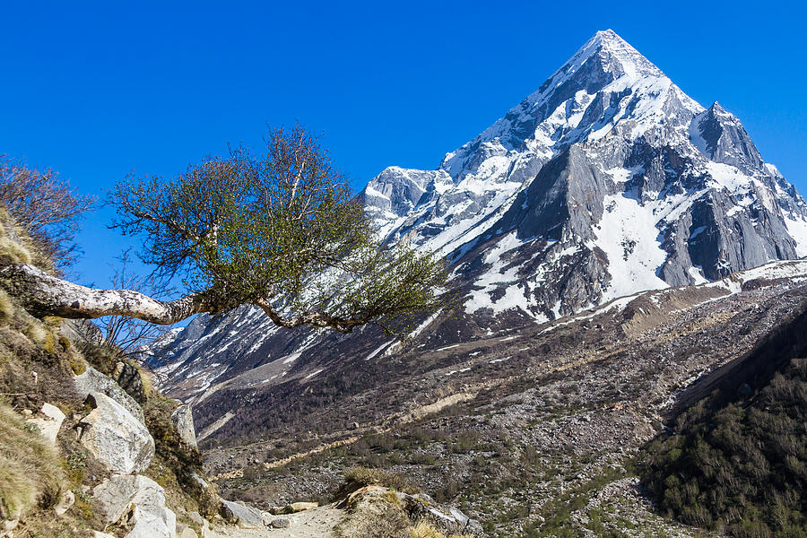 Winter Photograph - Mount Sudarshan - Indian Himalayas by Nila Newsom