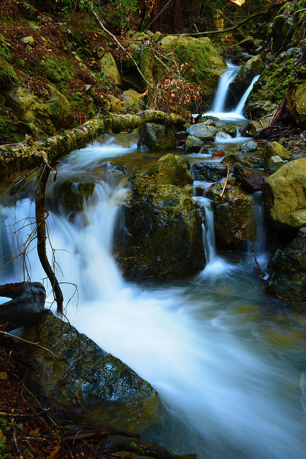Nature Photograph - Mount Tam Waterfall by Christine Dorfer