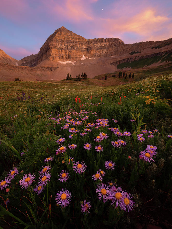 Mount Timpanogos Photograph by Dustin LeFevre
