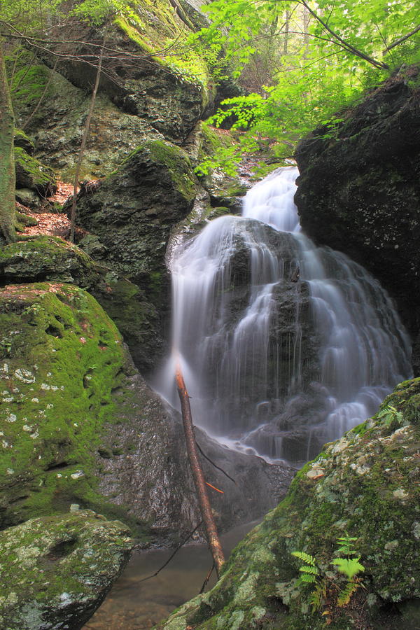 Mount Toby Roaring Brook Falls and Mossy Ravine Photograph by John Burk