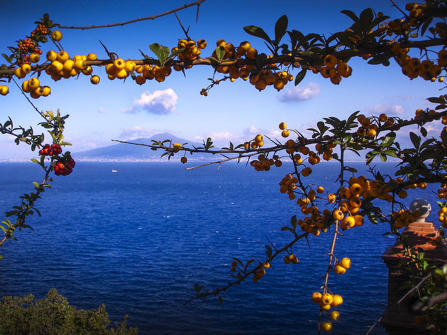 Mount Vesuvius from Sorrento by Jed Holtzman Mount Vesuvius from Sorrento by Jed Holtzman